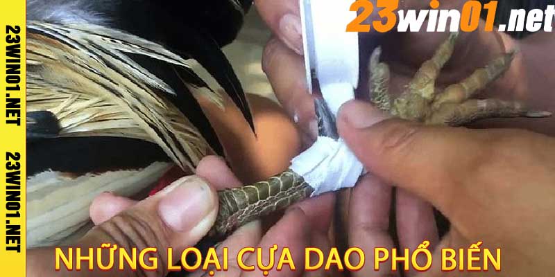 Đá gà Cựa Dao 23win01